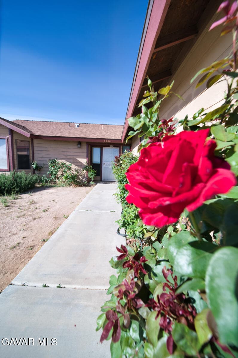 8636 Poppy Boulevard