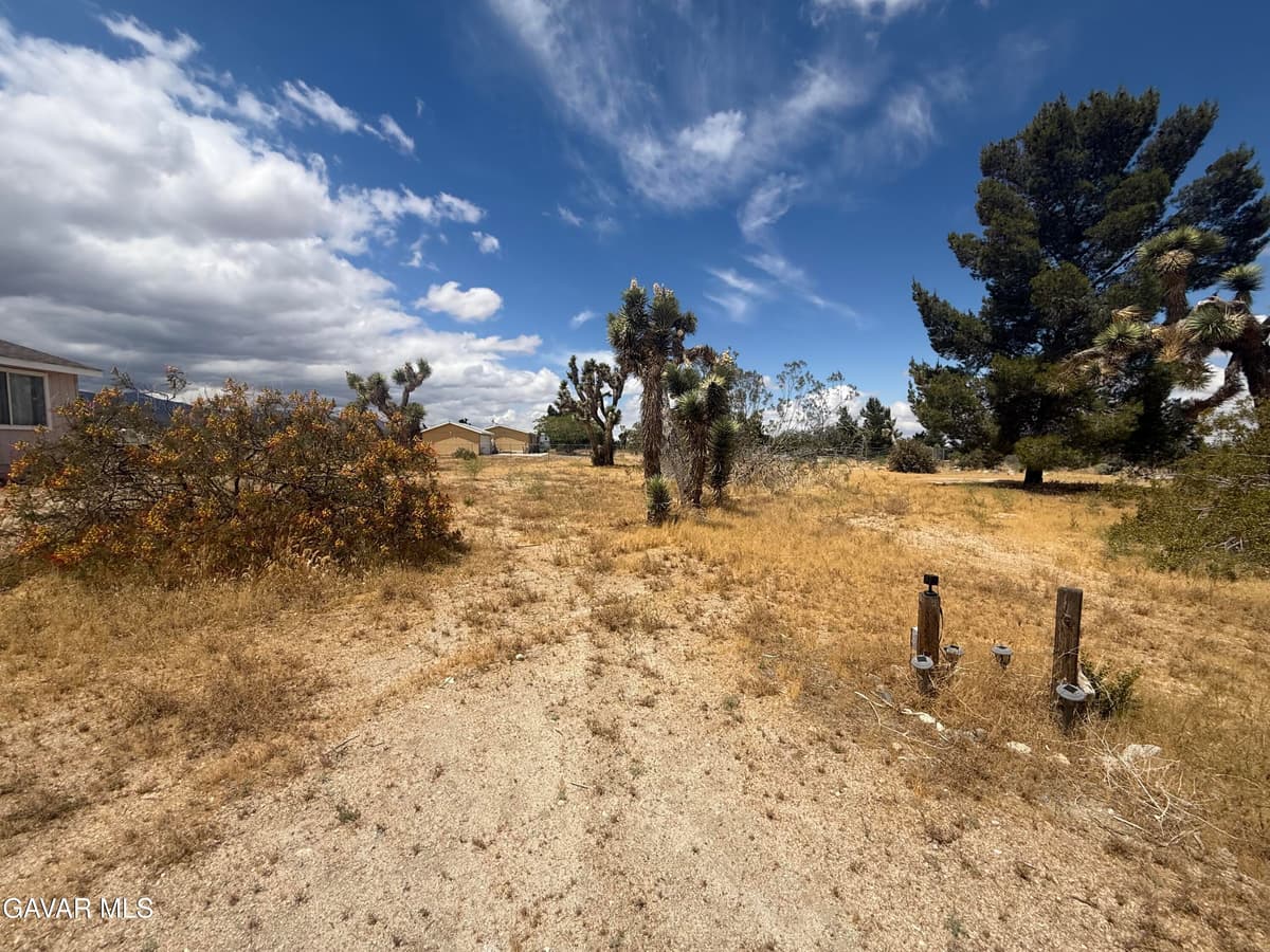 397 Joshua Hills Road — photo 2