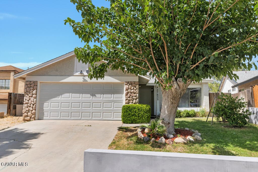 37652 Patty Court