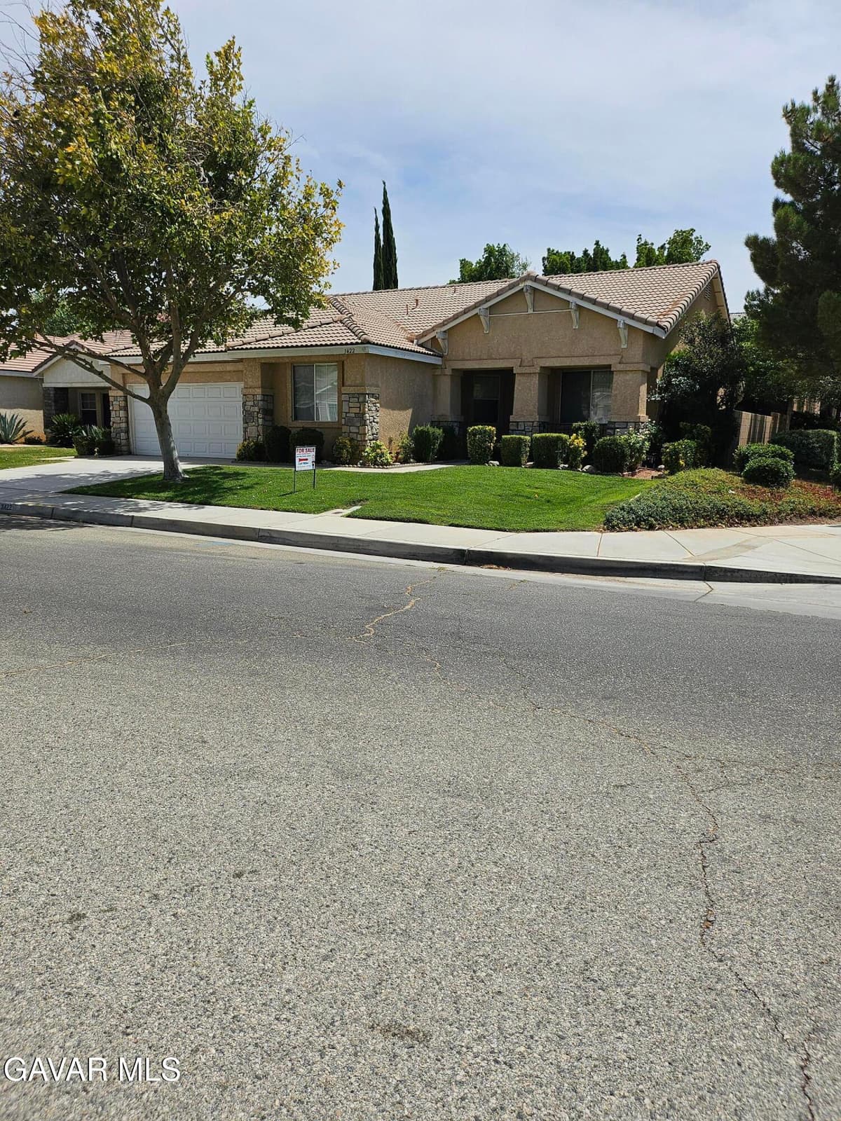 3422 Tamarisk Drive