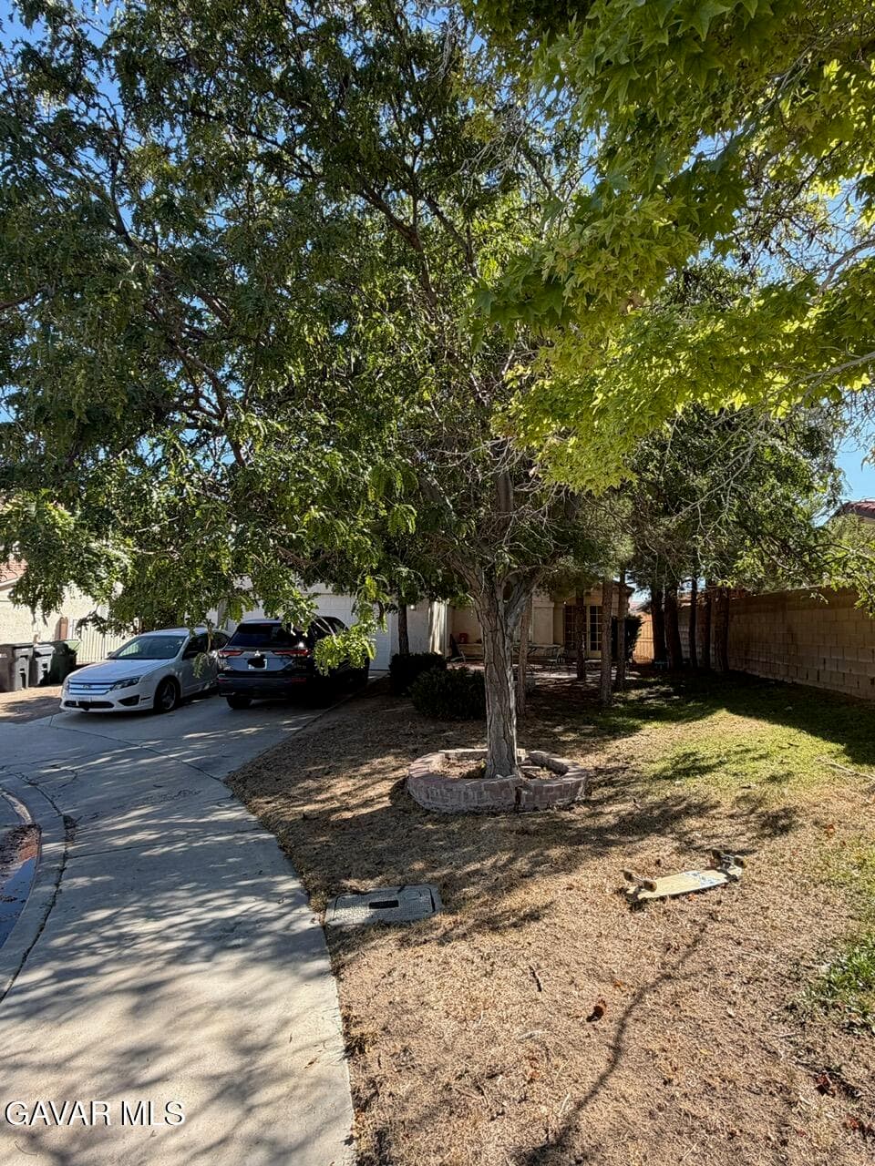 44114 Radcliff Court
