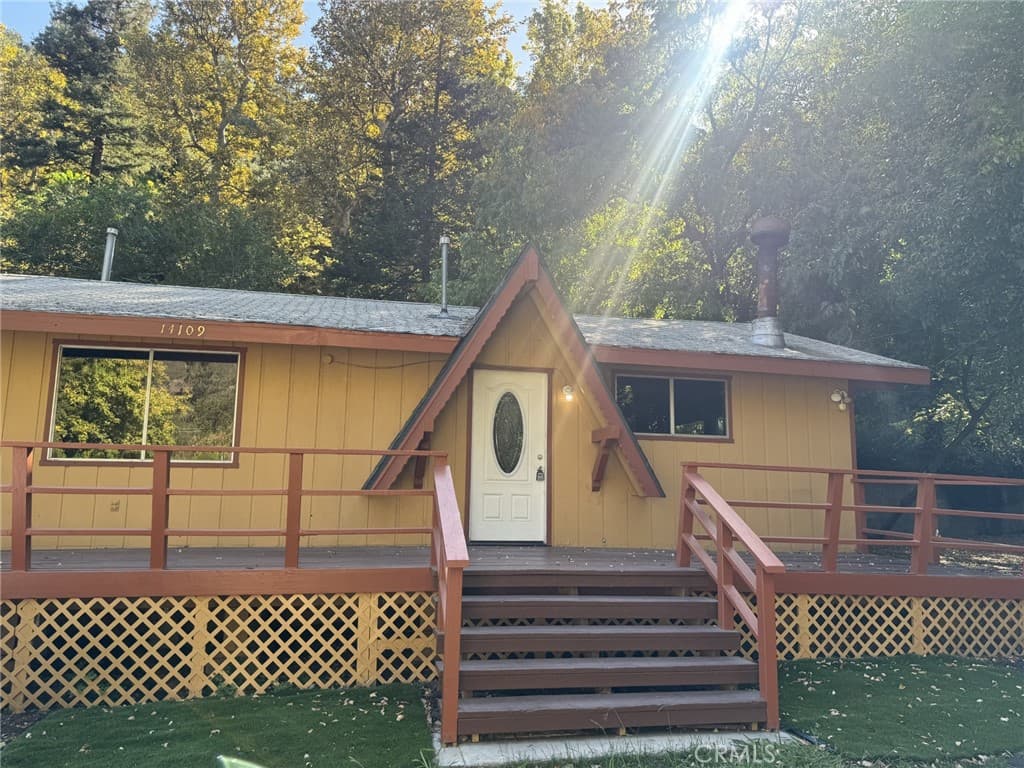 14109 Meadow