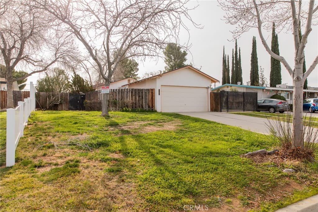 38990 Juniper Tree