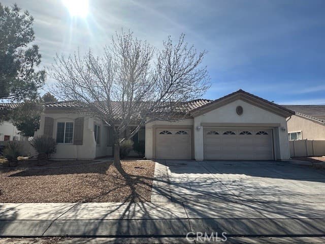 19721 Chicory Court