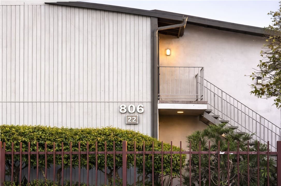 806 Coriander L