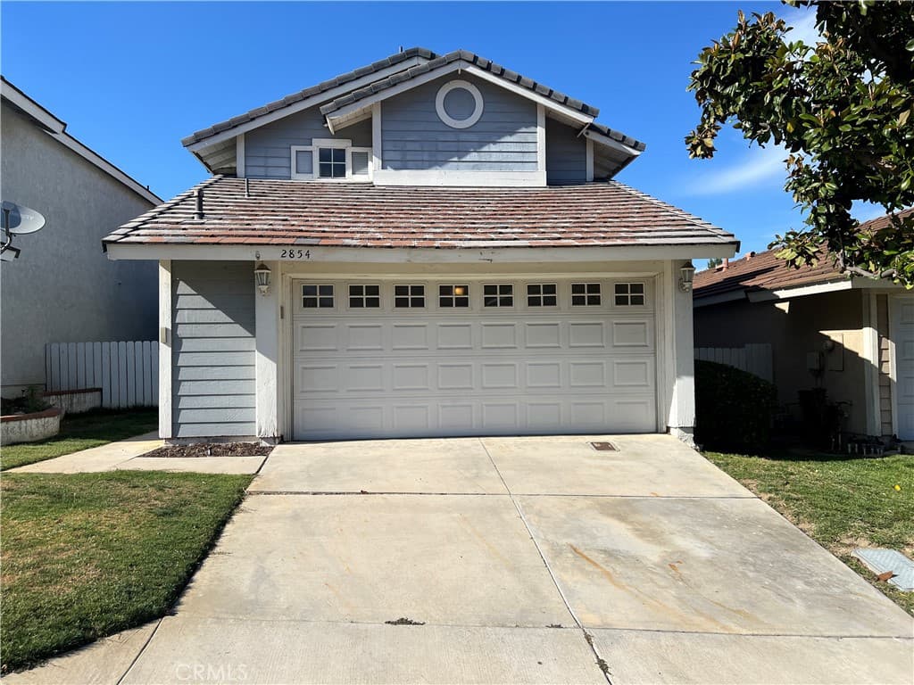 2854 Woodsorrel