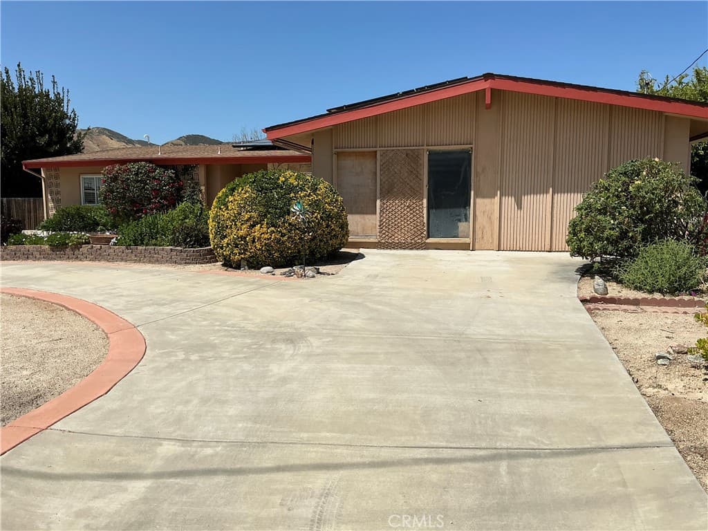 11735 Peach Tree