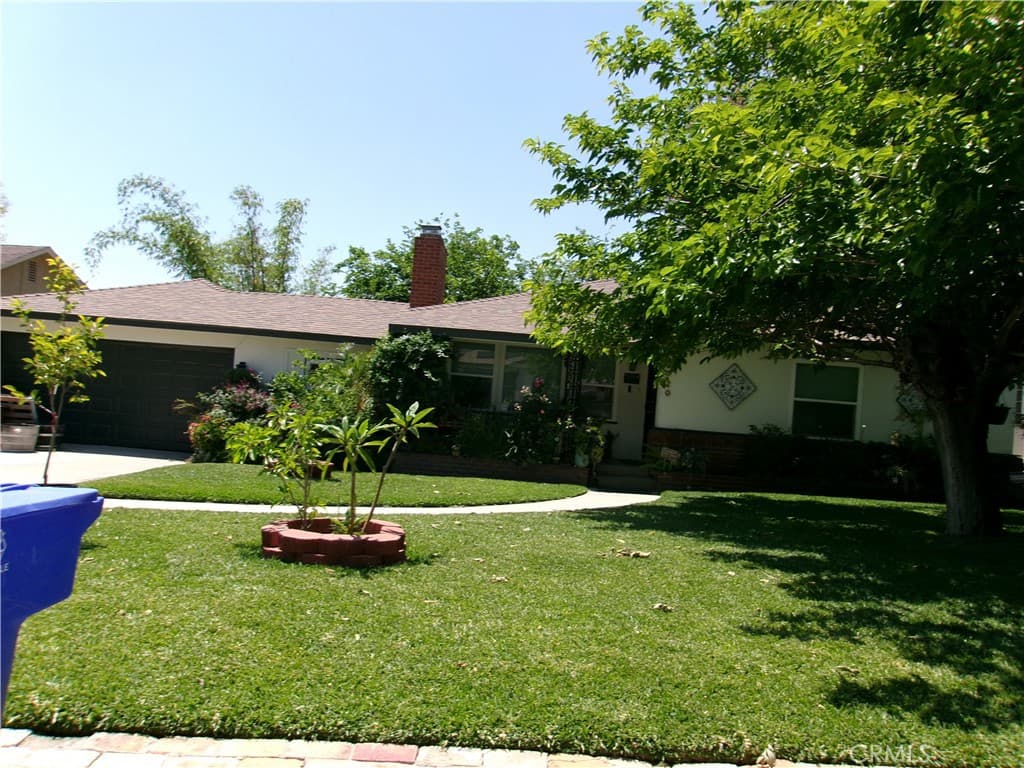 3720 Camellia