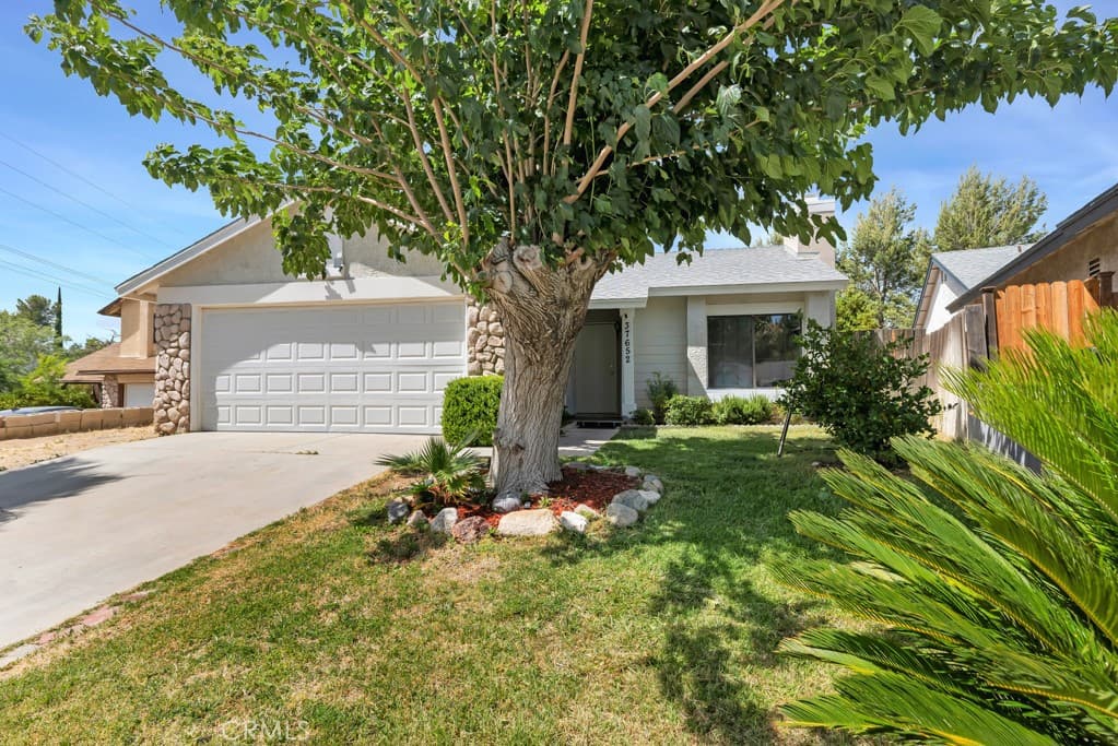 37652 Patty Court