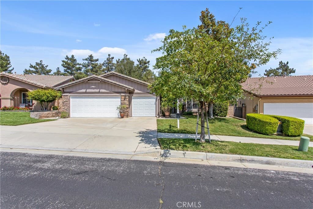 11733 Pactfield