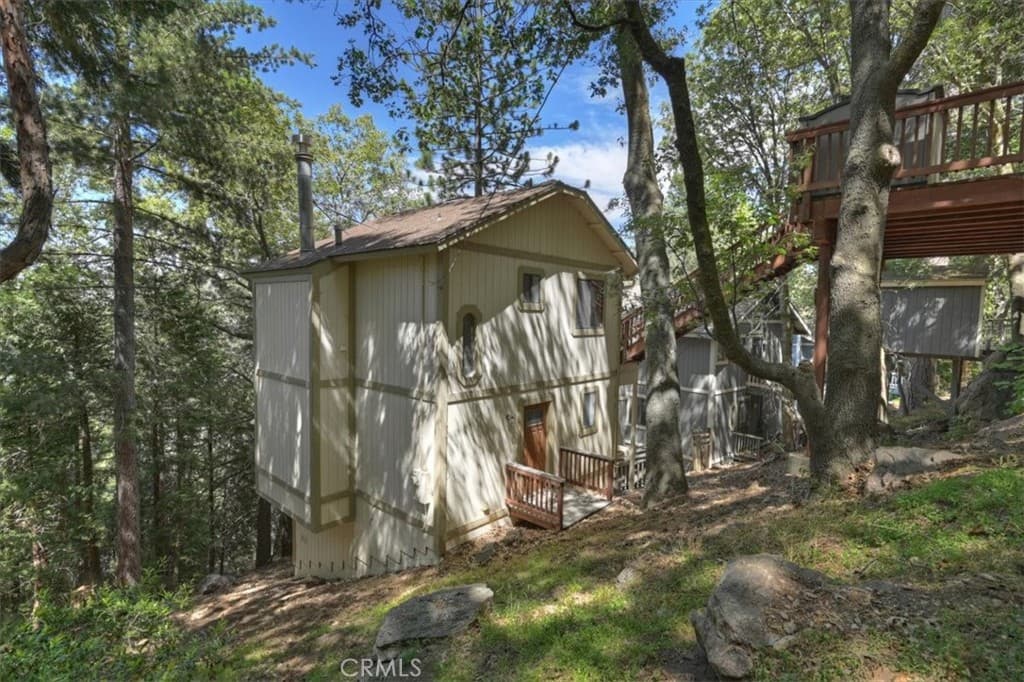 955 Coulter Pine