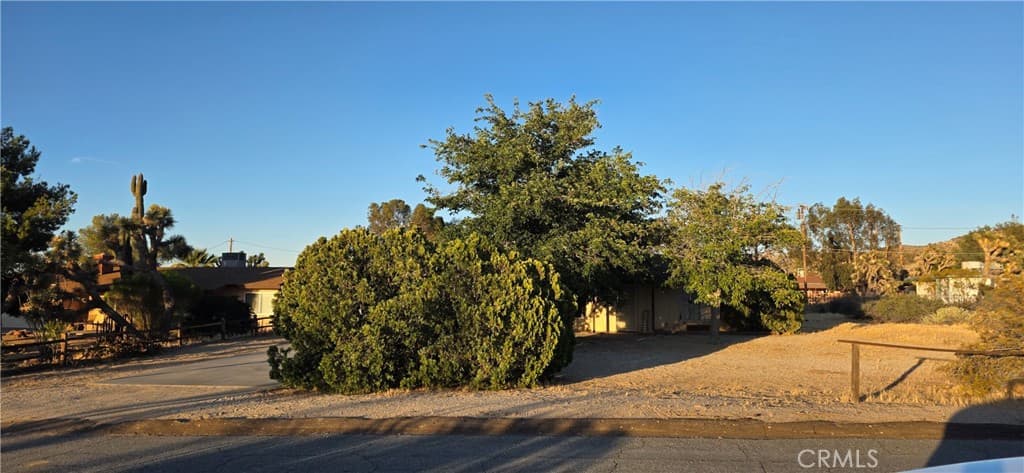 7801 Condalia