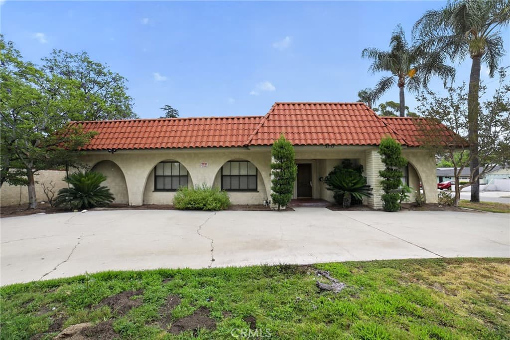 3105 Pepper Tree