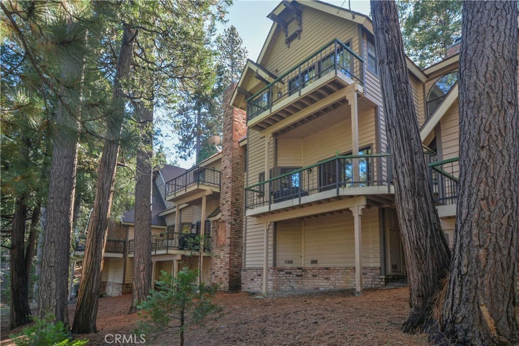 27494 White Fir