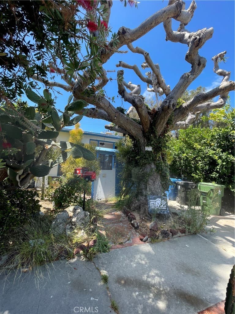 12117 Alberta Dr