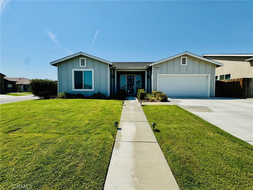 5803 Hawthorn Tree