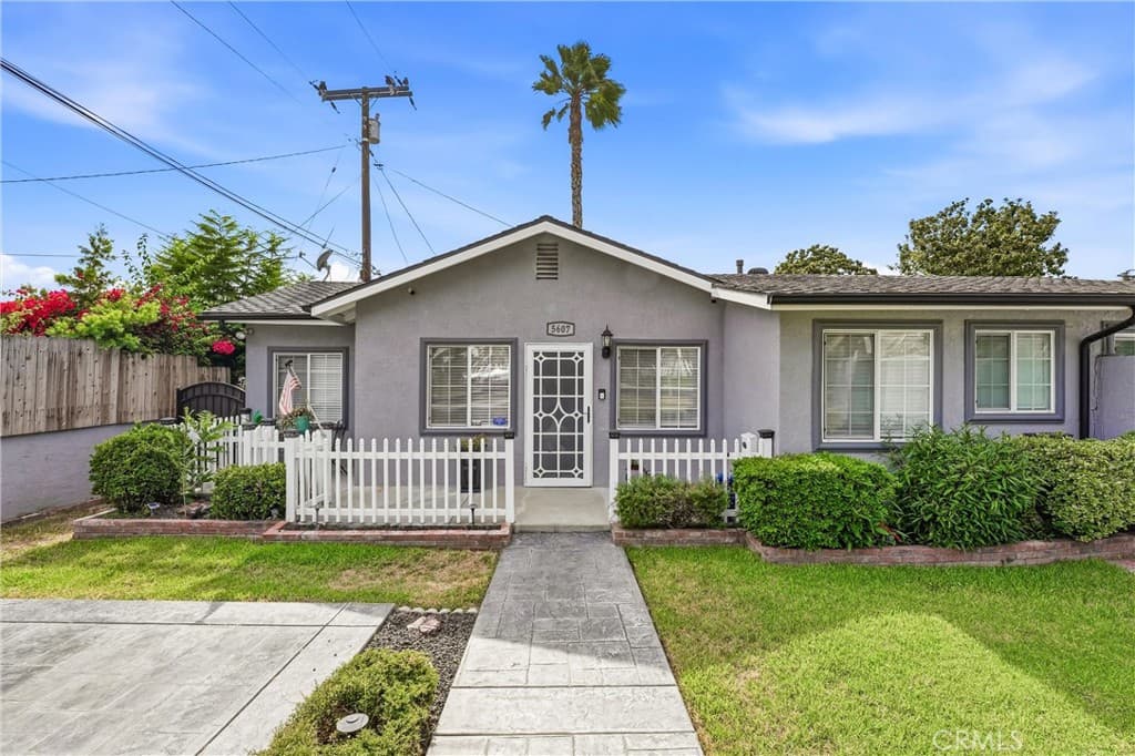 5607 Palm