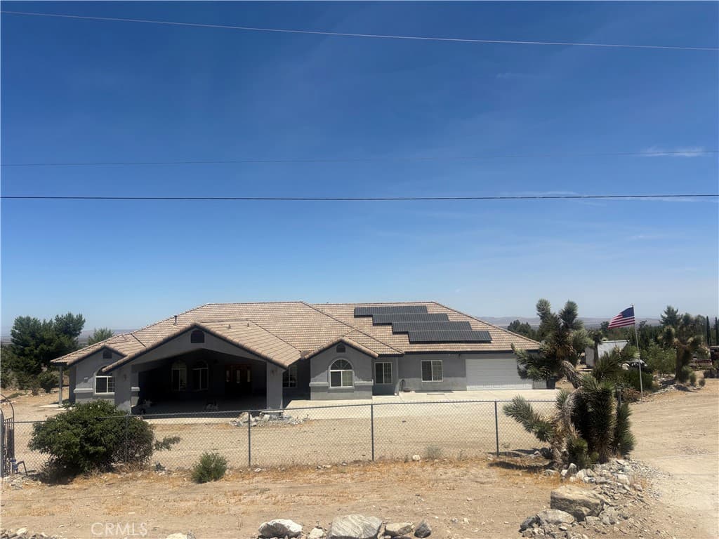 1220 Smoke Tree