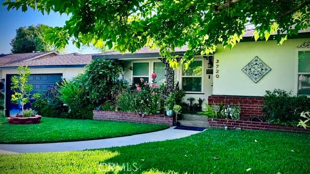 3720 Camellia