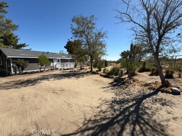 278 Yucca