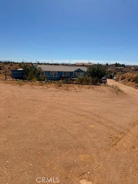 10575 White Fox