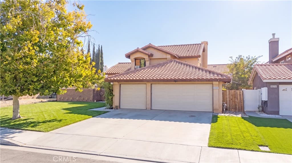 37909 Smoke Tree
