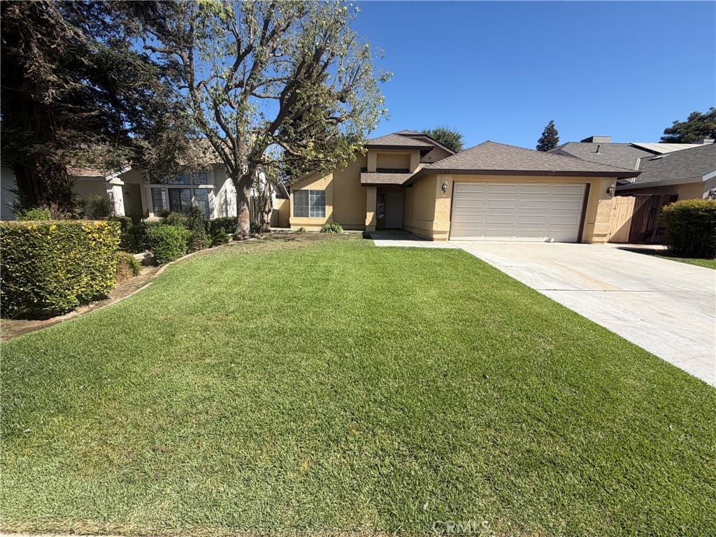6504 Quaking Aspen