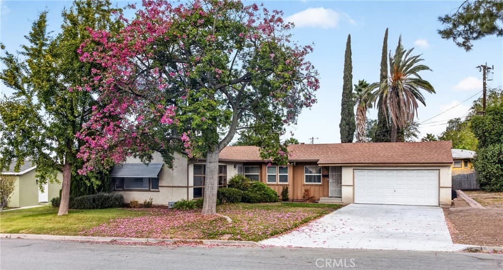 11167 Rosarita Drive