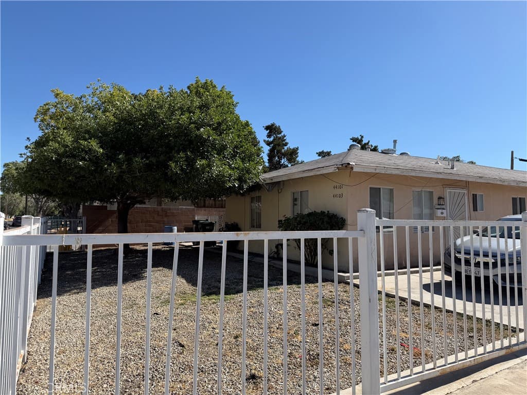 44101 Beech