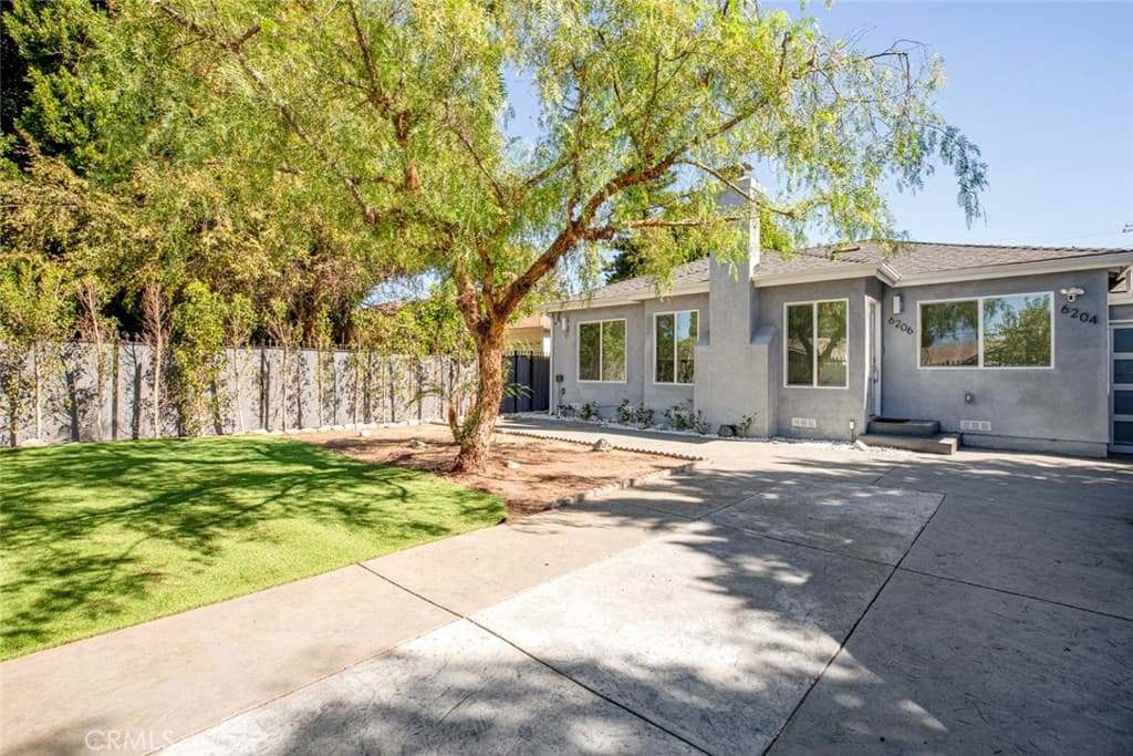 6206 Camellia