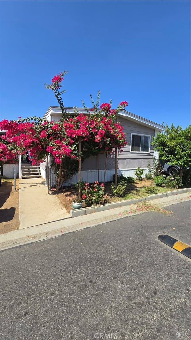 6601 Eucalyptus 232