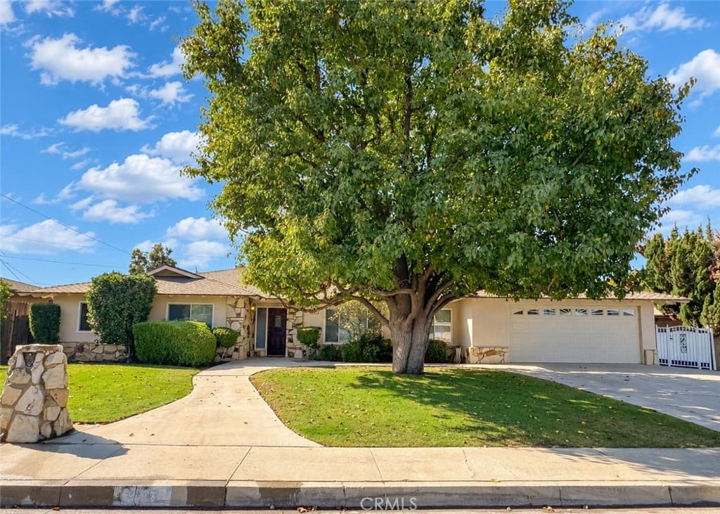 3709 Christmas Tree Lane