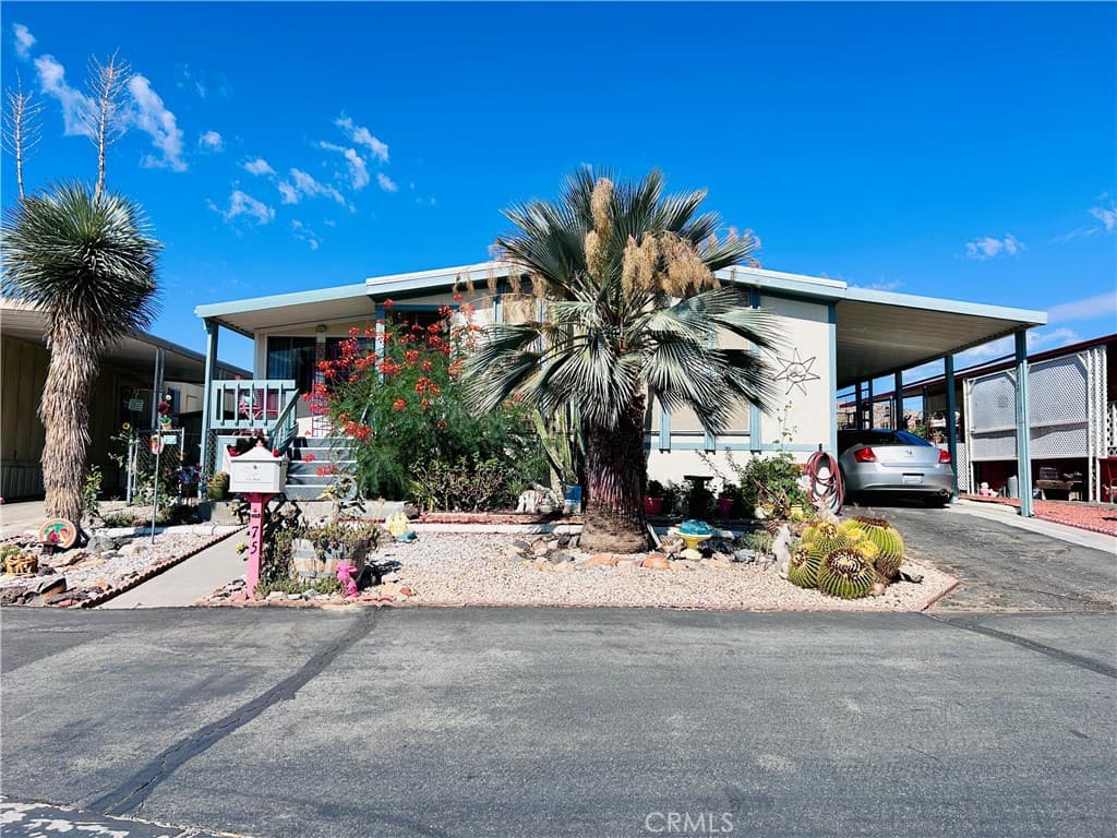 56254 29 Palms SPC 75