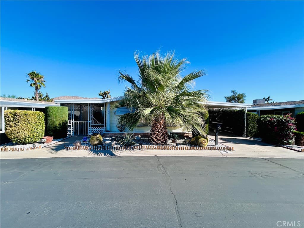 7501 Palm SPC 70