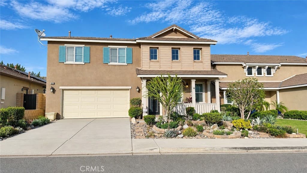 3826 Vine Maple